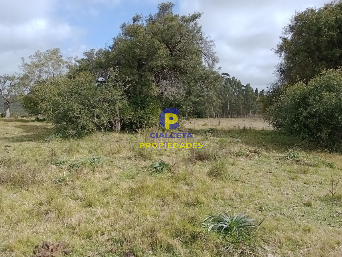Chacra ID.419 - 5 hectáreas con la vista mas linda de la zona