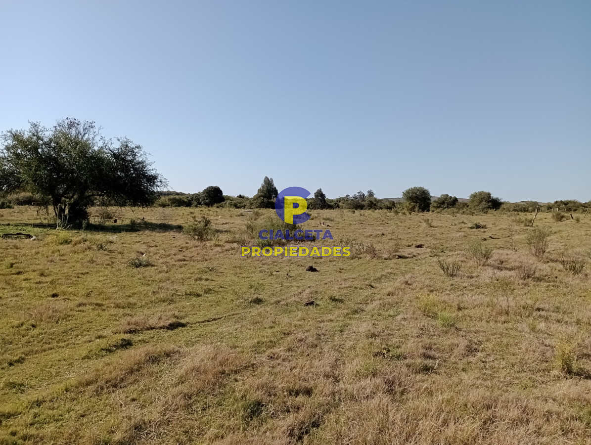 Chacra ID.213 - 11 hectáreas en Pueblo Edén