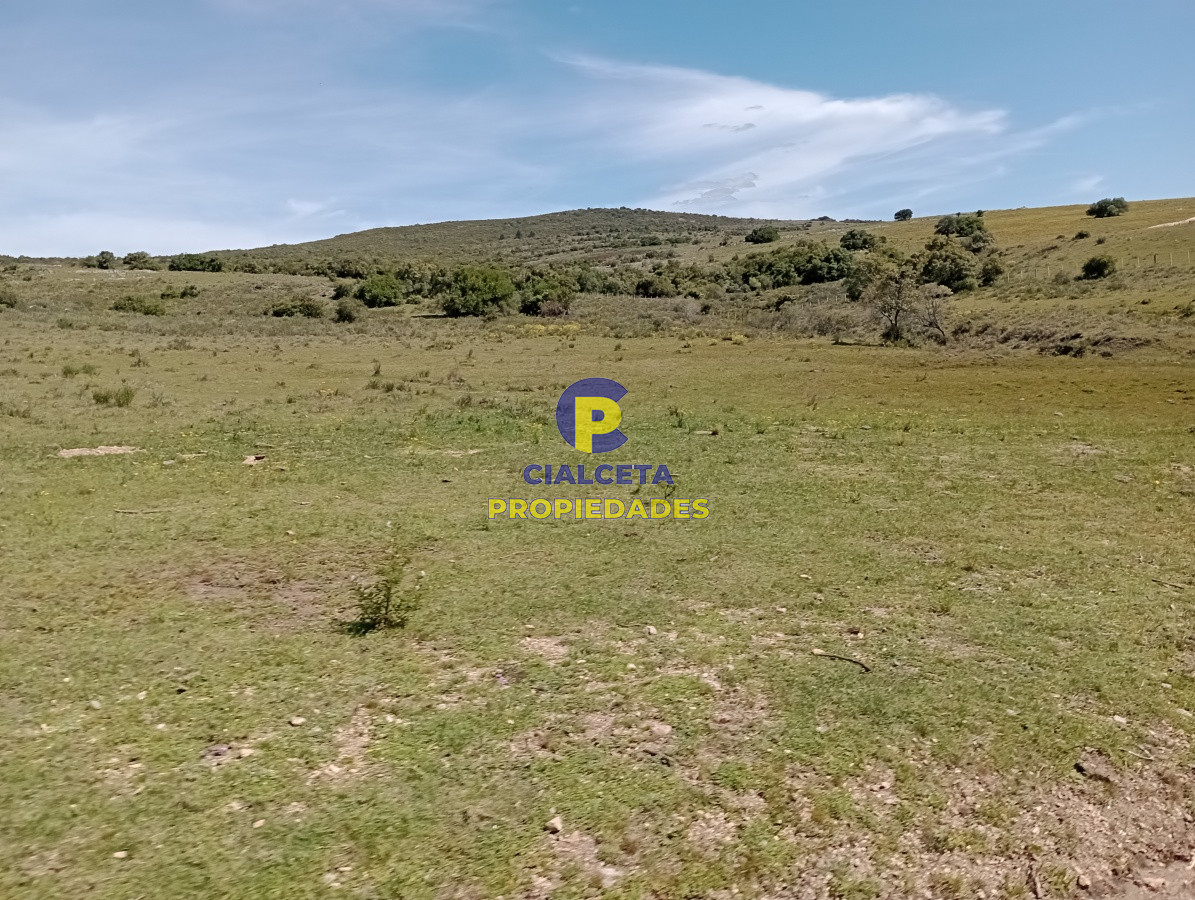 Chacra ID.208 - 5 hectáreas en Pueblo Edén