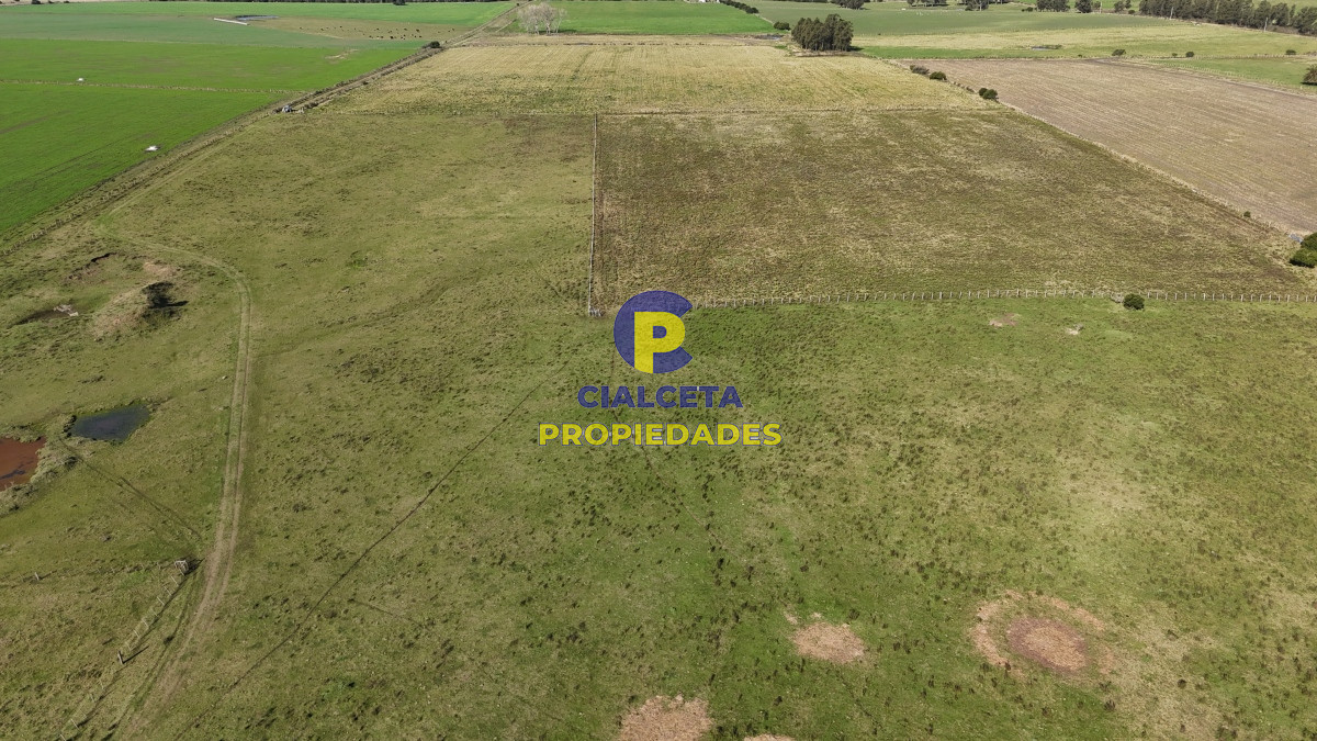 Chacra ID.516 - 15 hectáreas y media con arroyo en el fondo