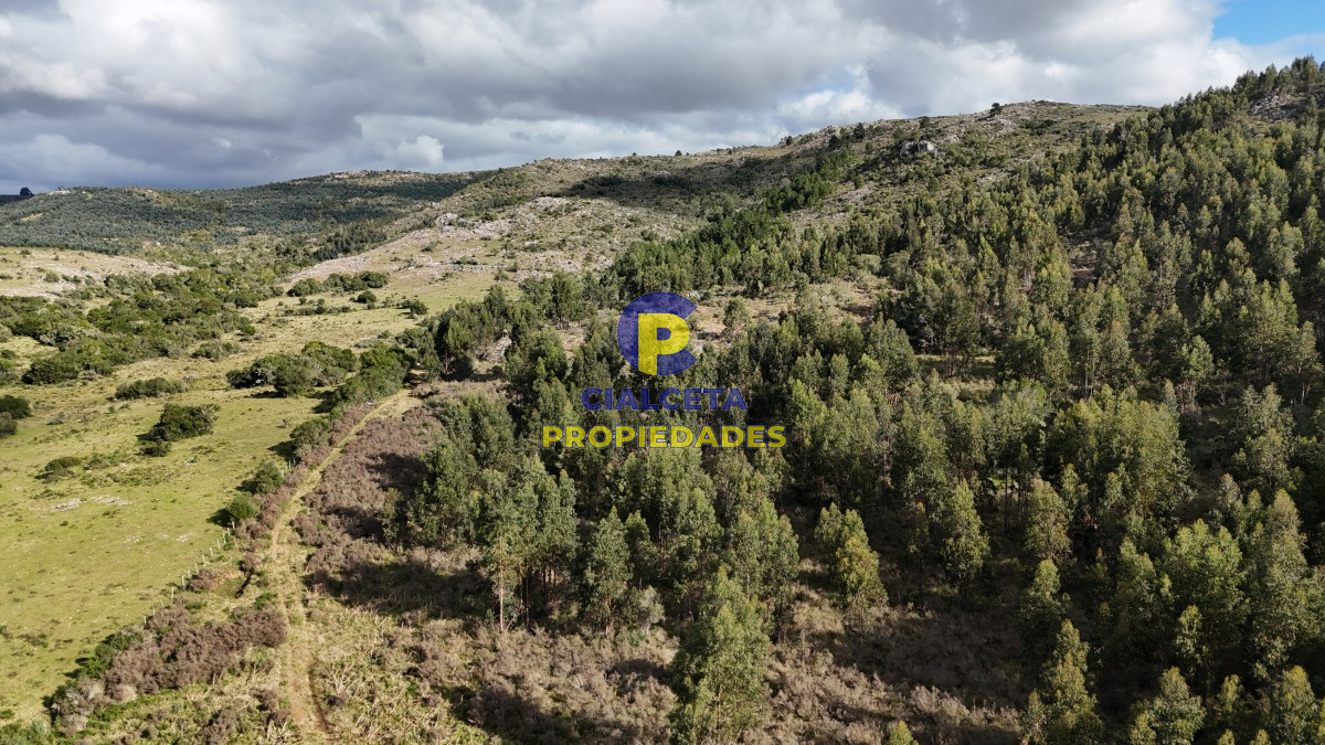 Chacra ID.458 - 5 hectáreas con entrega de 8 mil dólares se financia