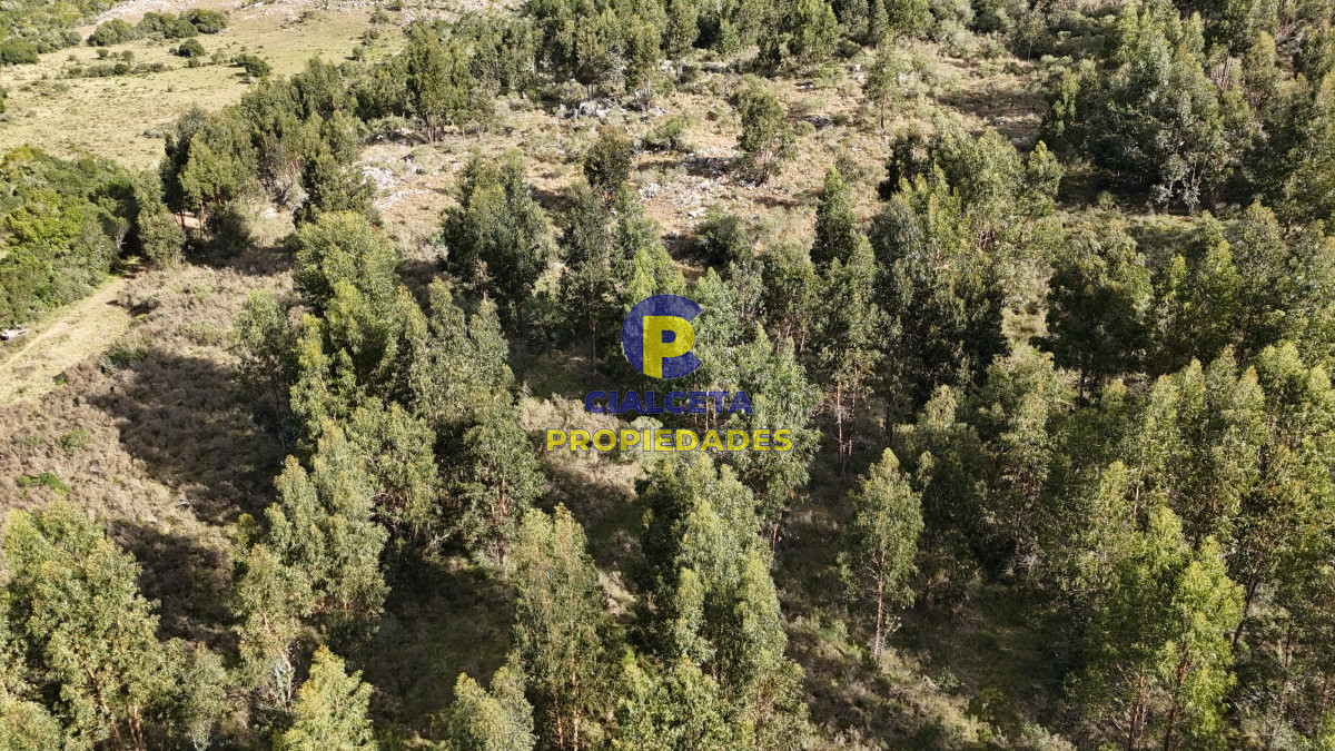 Chacra ID.458 - 5 hectáreas con entrega de 8 mil dólares se financia
