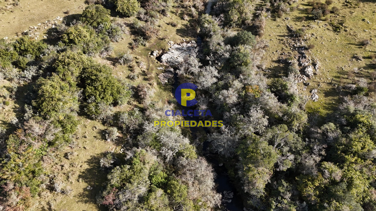 Chacra ID.485 - 7 hectáreas con cañada a 20 km de San Carlos