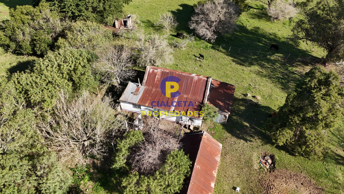 Chacra ID.516 - 15 hectáreas y media con arroyo en el fondo