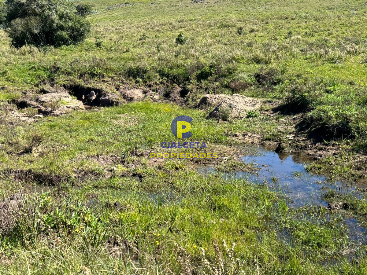 Chacra ID.423 - 5 hectáreas para 38.000 dólares, se financia