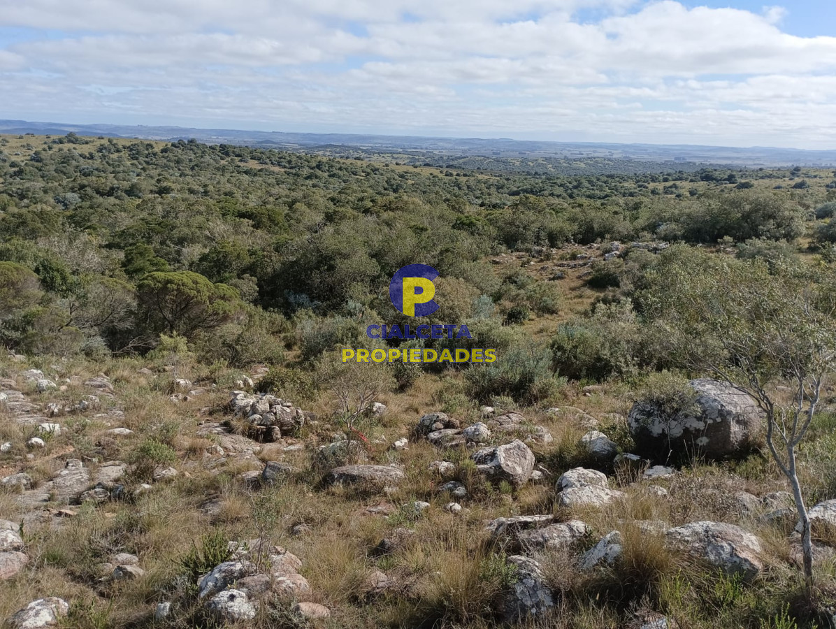 Chacra ID.524 - 8 hectáreas en Maldonado, con monte nativo