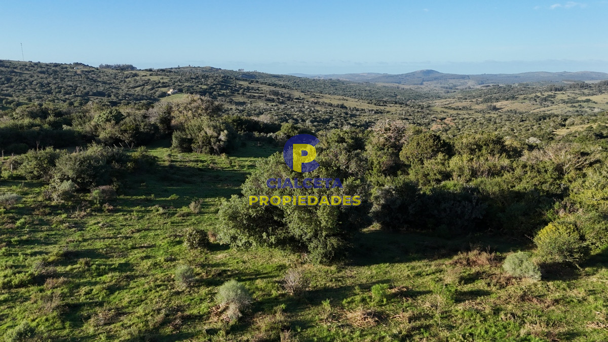 Chacra ID.456 - 4  hectáreas con monte nativo en Maldonado