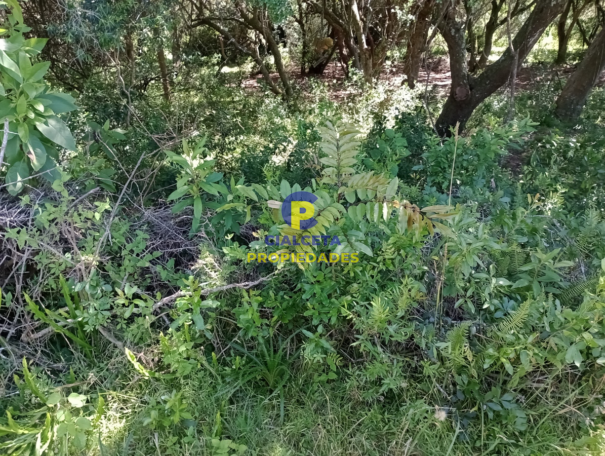 Chacra ID.302 - 5 hectáreas en Maldonado, entrega 20 mil dólares