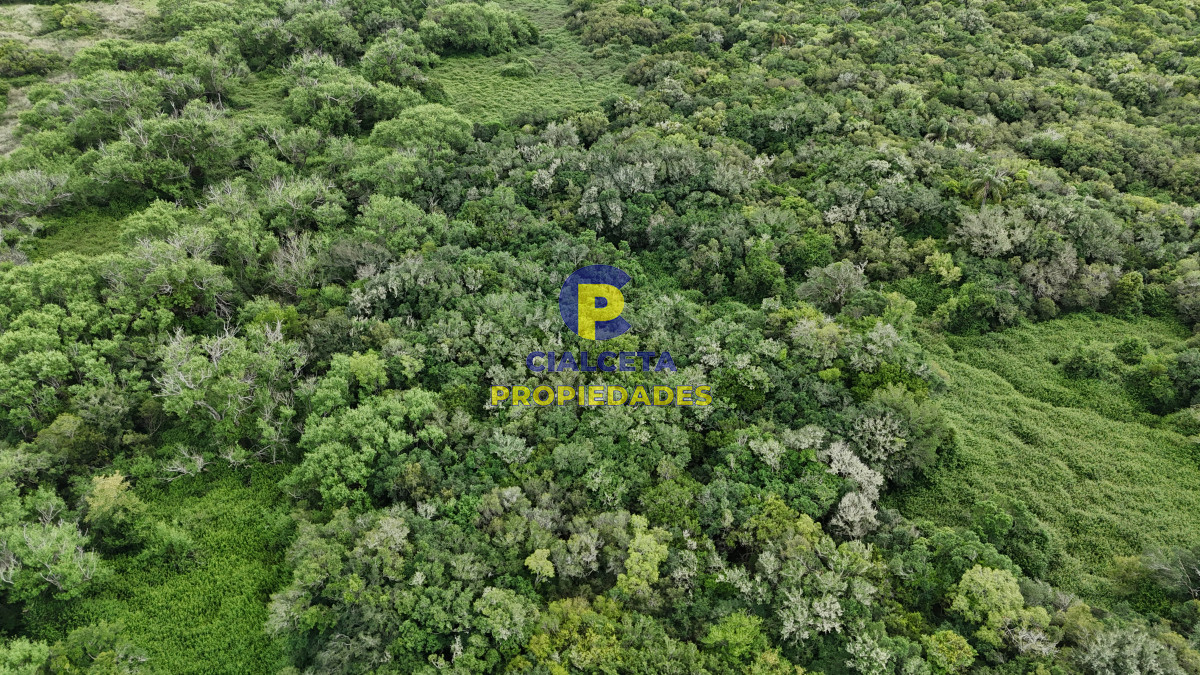 Chacra ID.560 - 4 hectáreas con 6.600 metros con monte y arroyo