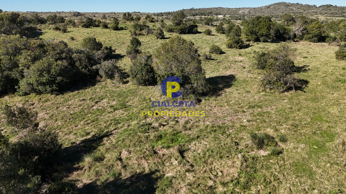 Chacra ID.471 - 5 hectáreas, entrega 19.800 y saldo en 60 cuotas