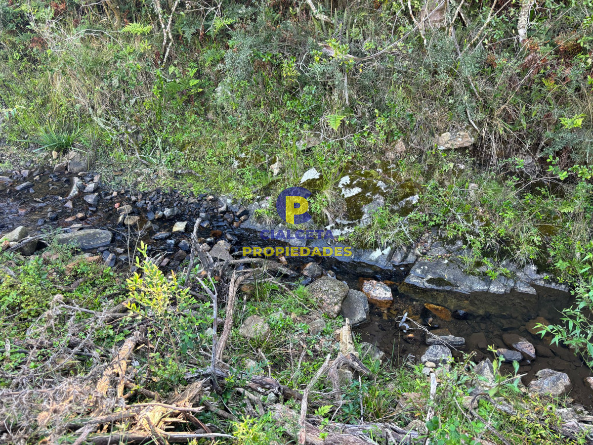 Chacra ID.570 - chacras de 5 hectáreas a minutos de Pueblo Edén, se financian