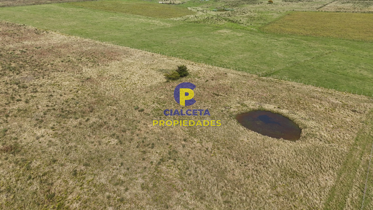 Chacra ID.529 - 3 hectáreas en Noya, departamento de Canelones