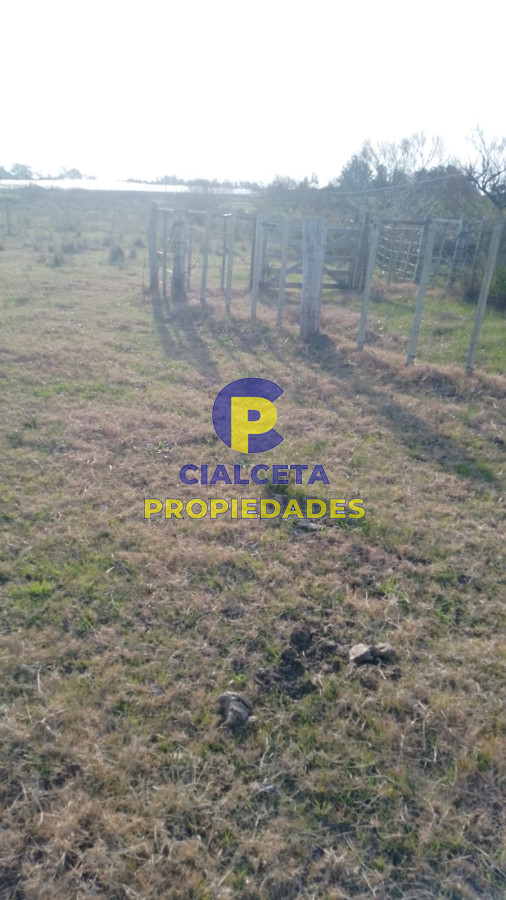 Chacra ID.270 - 13 hectáreas y media con casa y aguada  permanente