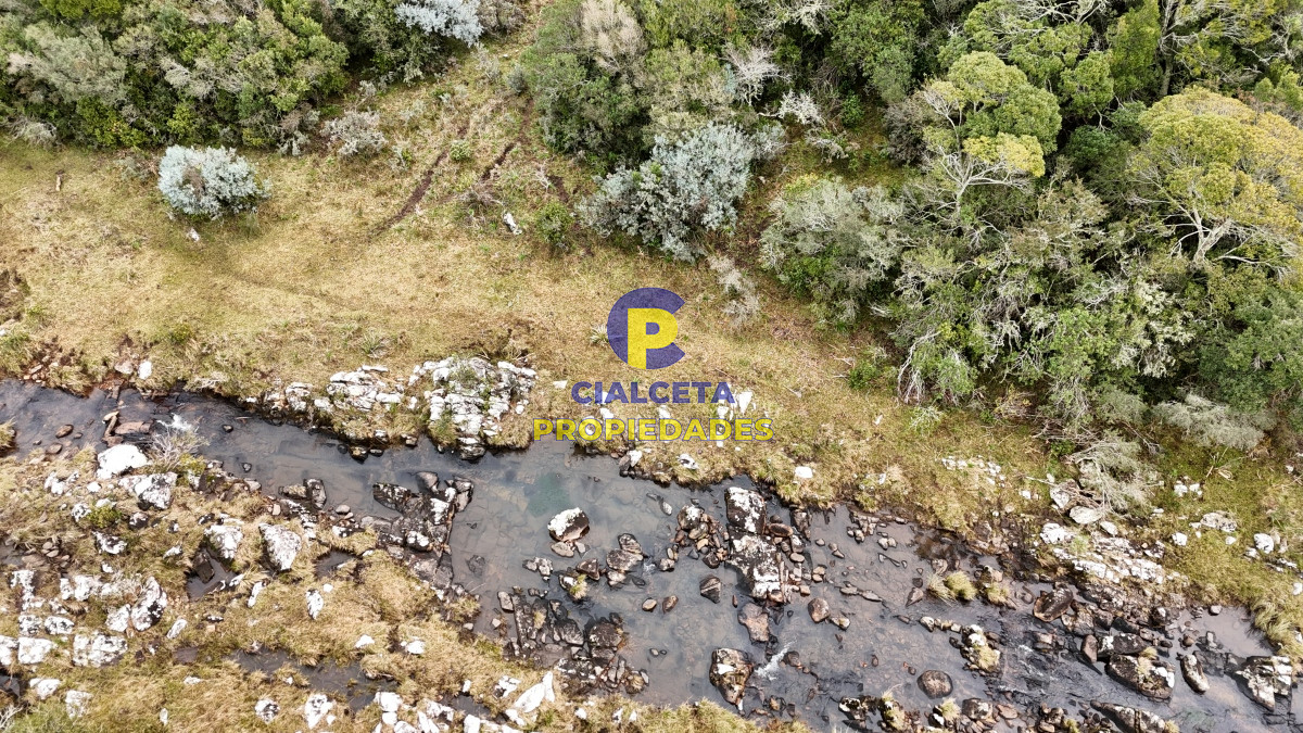 Chacra ID.479 - 14 hectáreas y media con población y arroyito en el fondo