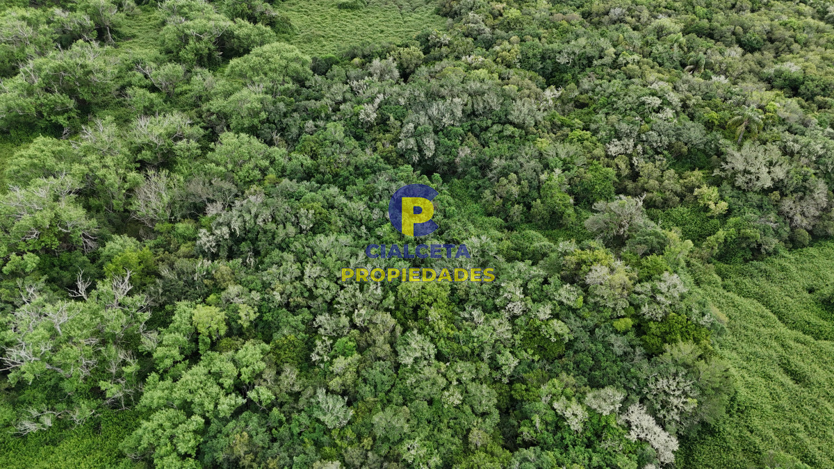 Chacra ID.560 - 4 hectáreas con 6.600 metros con monte y arroyo