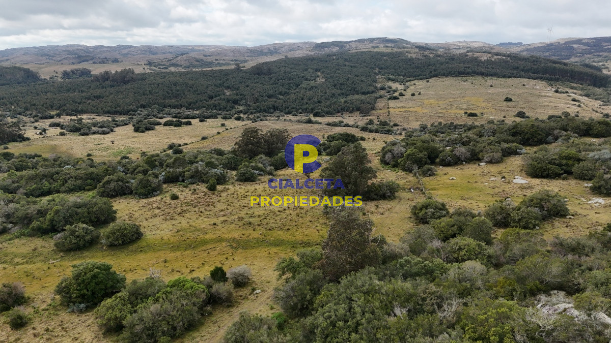 Chacra ID.479 - 14 hectáreas y media con población y arroyito en el fondo