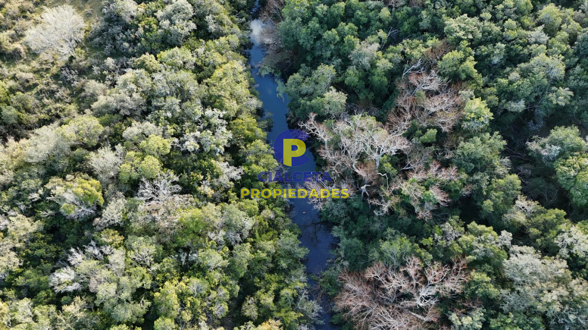 Chacra ID.571 - 3 hectáreas en Pueblo Edén con arroyo y monte nativo