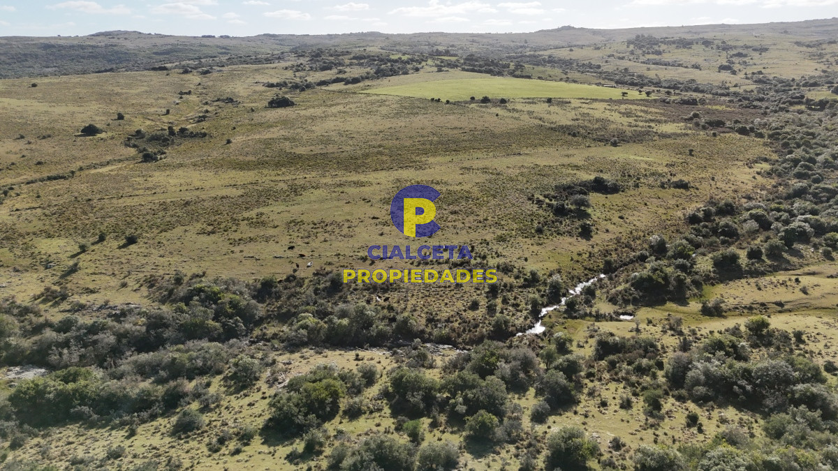 Chacra ID.485 - 7 hectáreas con cañada a 20 km de San Carlos