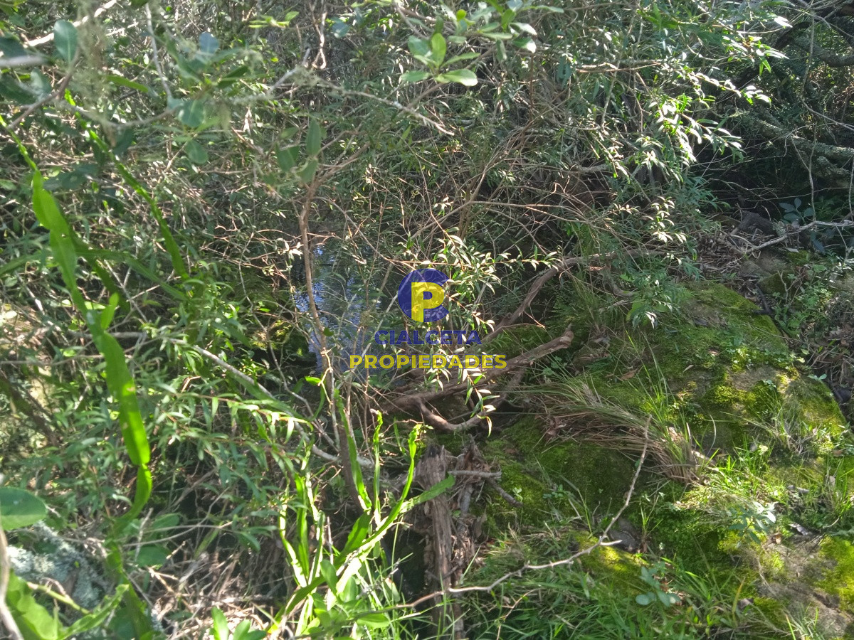 Chacra ID.202 - 5 hectáreas en las Cañas