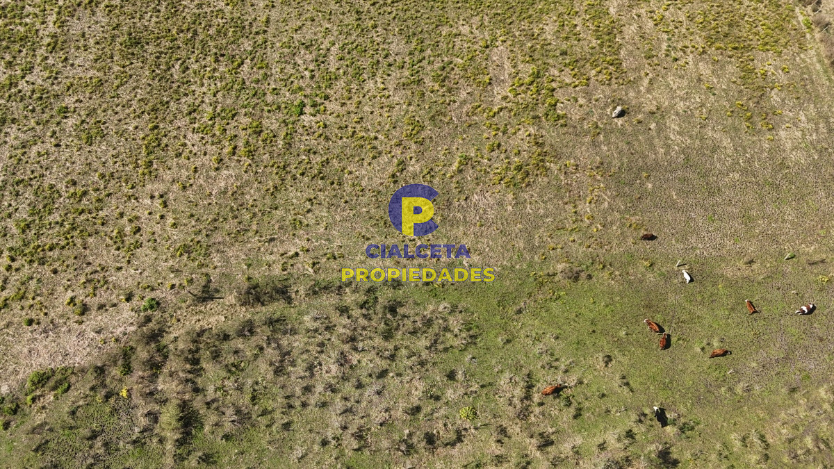Chacra ID.527 - 3 hectáreas en Migues con aguada y linda vista