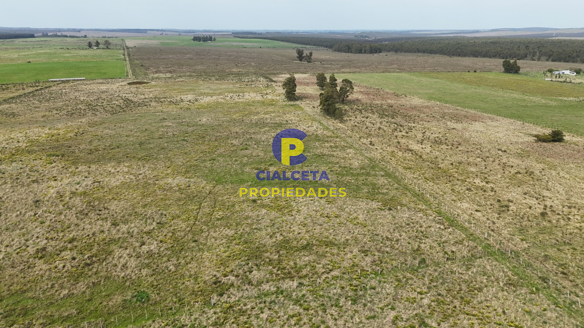 Chacra ID.529 - 3 hectáreas en Noya, departamento de Canelones