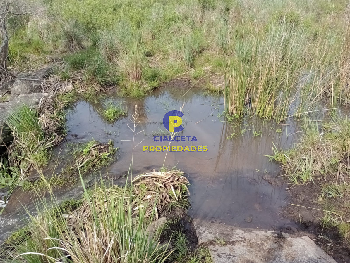 Chacra ID.438 - 5 hectáreas en Pueblo Edén, con casa nueva