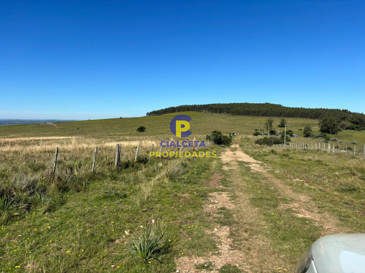 Chacra ID.422 - 5 hectáreas en Lavalleja, entrega 18.000 dólares y saldo financiado