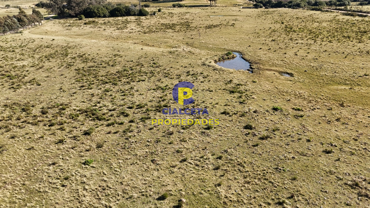 Chacra ID.480 - 4 hectáreas sobre camino a 6 km de Pueblo Edén