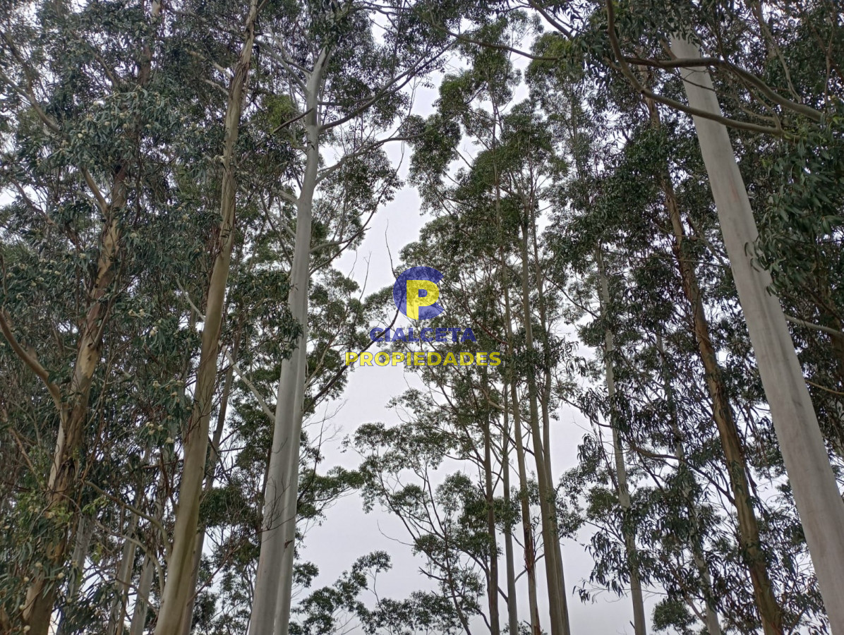 Chacra ID.265 - 5 hectáreas en Maldonado