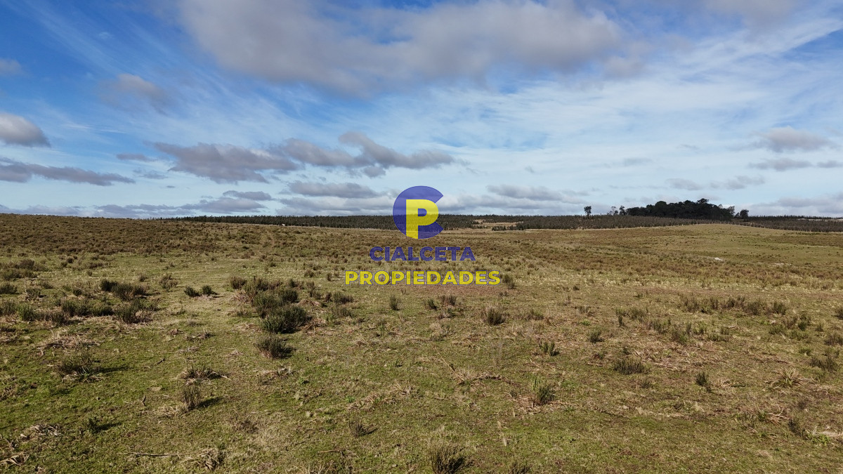 Chacra ID.463 - 7 hectáreas en Lavalleja, entrando por Villa Serrana