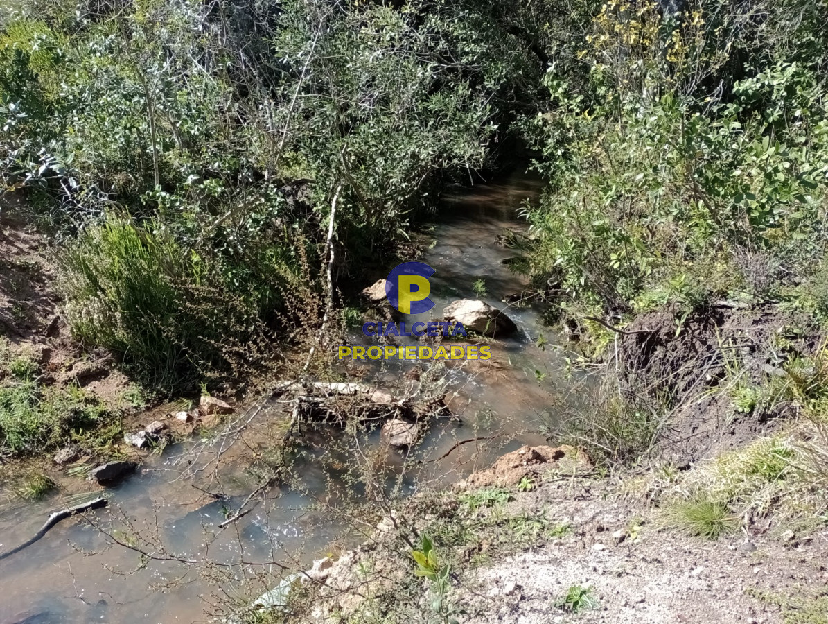 Chacra ID.292 - 5 hectáreas con monte y cañada