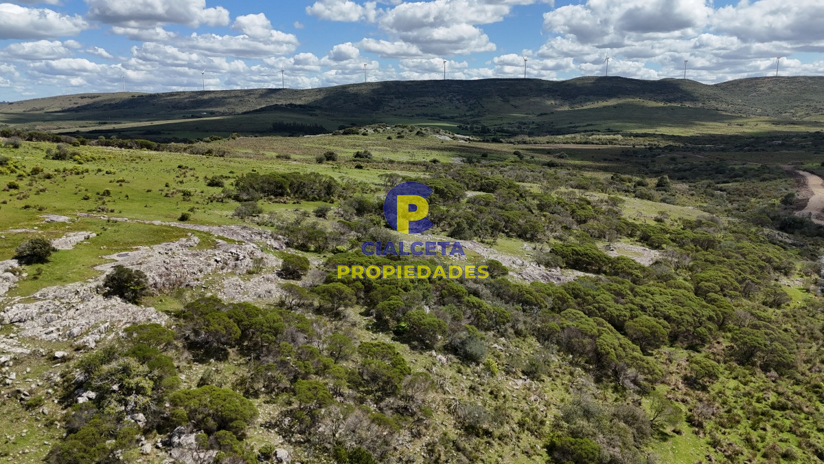 Chacra ID.535 - 3 hectáreas a 25 km de San Carlos, se financian