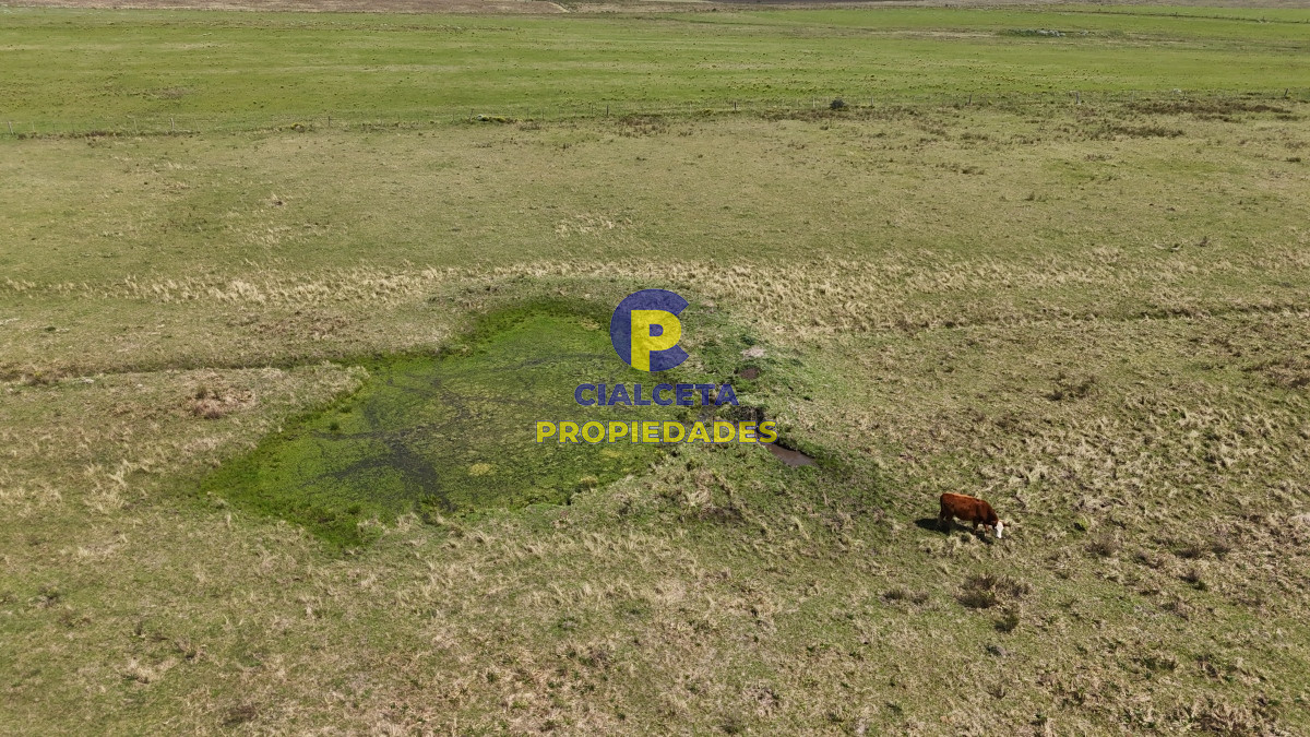 Chacra ID.531 - 5 hectáreas en Lavalleja con tajamar