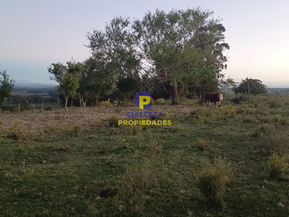 Chacra ID.547 - 10 hectáreas con casa y arroyo