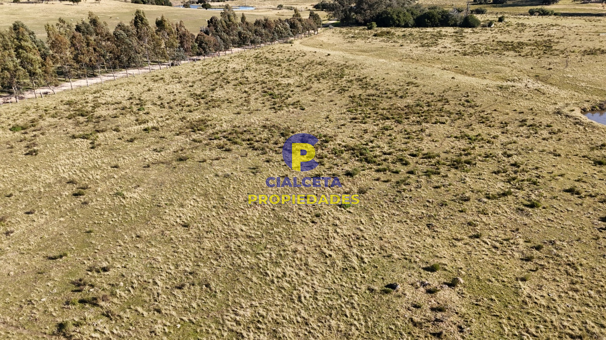 Chacra ID.480 - 4 hectáreas sobre camino a 6 km de Pueblo Edén