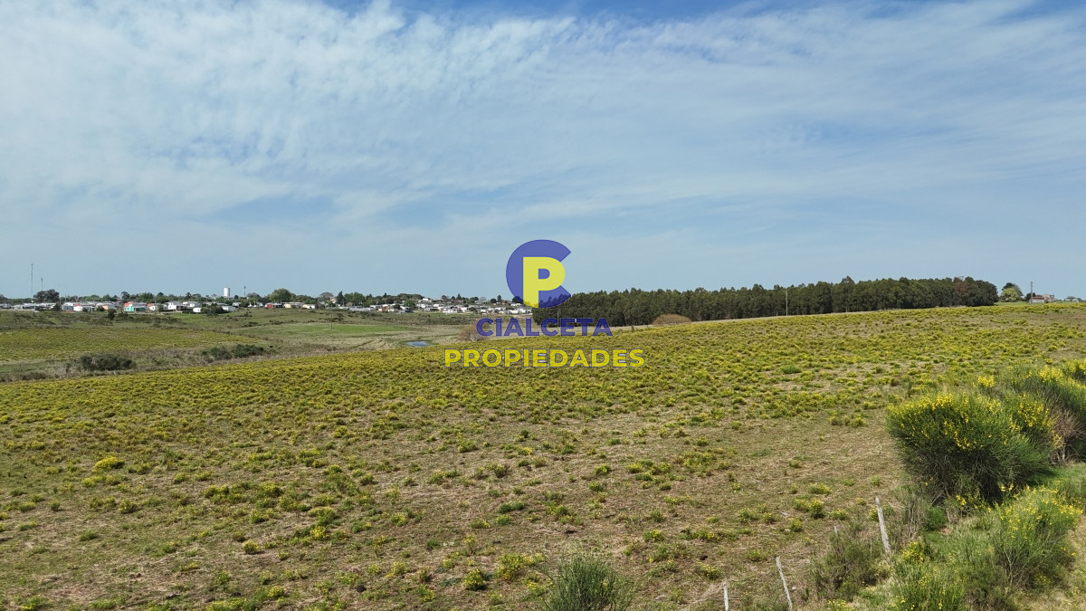 Chacra ID.525 - 4 hectáreas y media con agua 