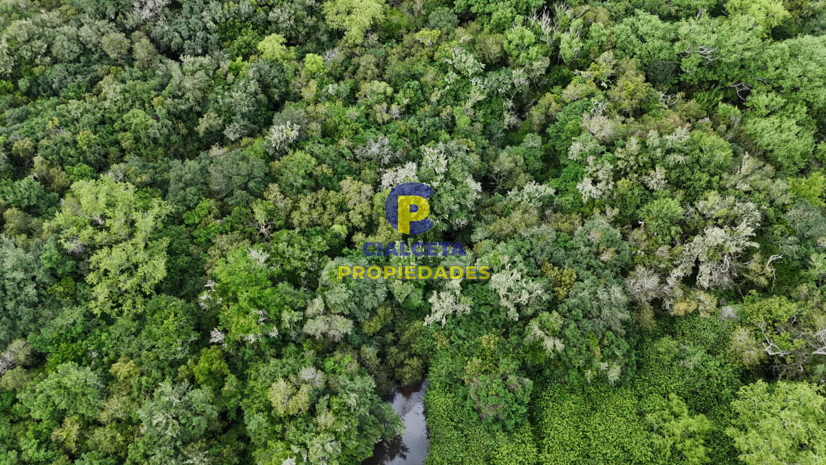 Chacra ID.561 - 5 hectáreas con monte y arroyo José Ignacio