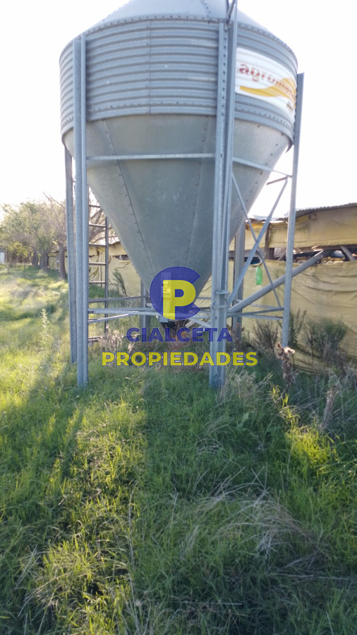 Chacra ID.168 - 4 hectáreas y media en Santa Rosa