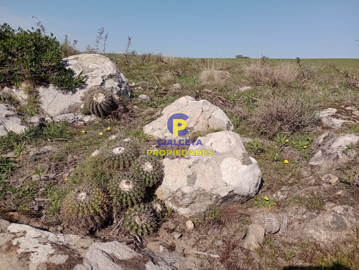Chacra ID.188 - 7 hectáreas en Maldonado