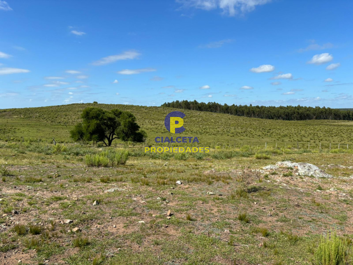 Chacra ID.396 - 3 hectáreas y media en Migues, se financia !!!!, oportunidad