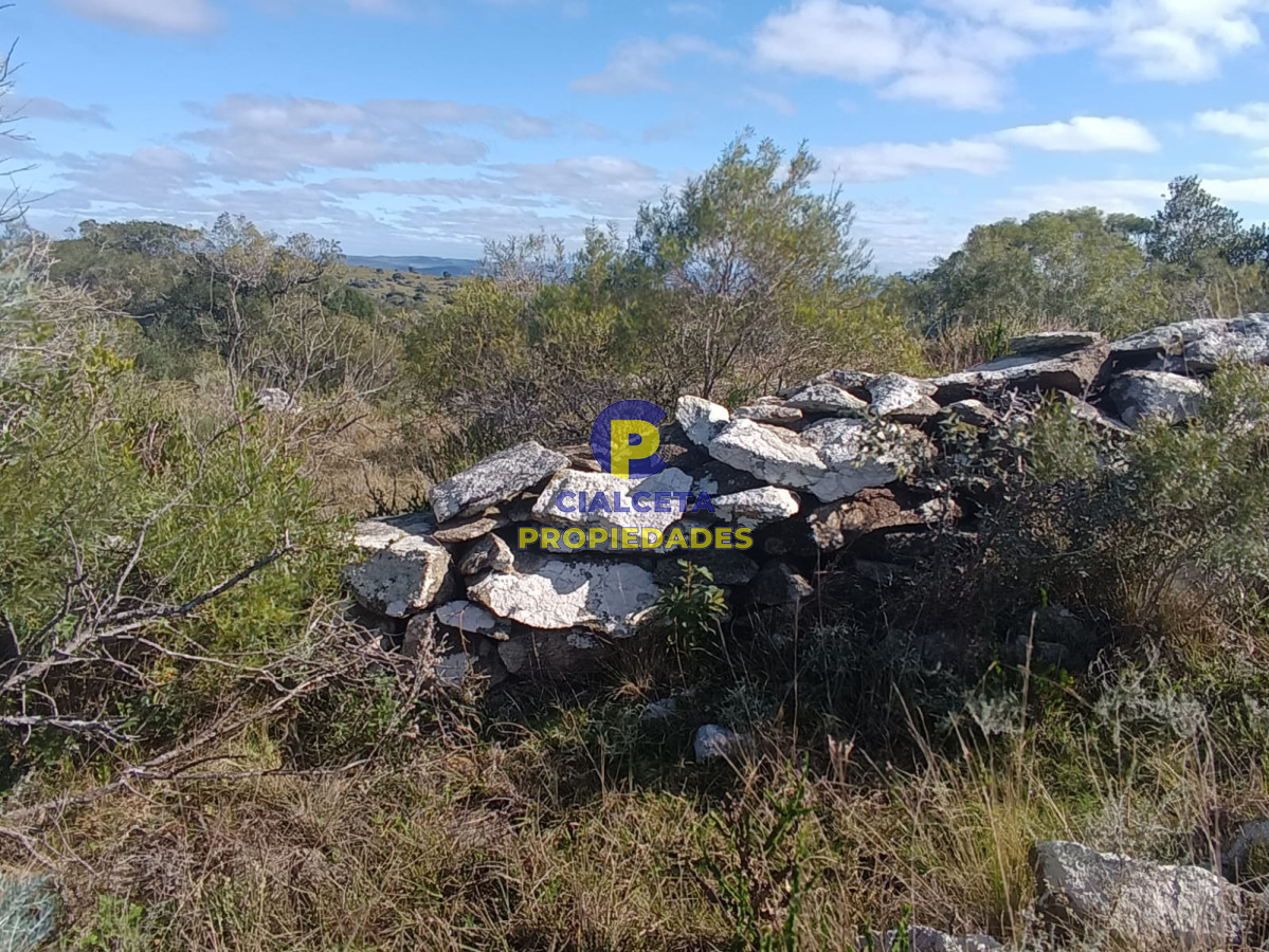 Chacra ID.524 - 8 hectáreas en Maldonado, con monte nativo