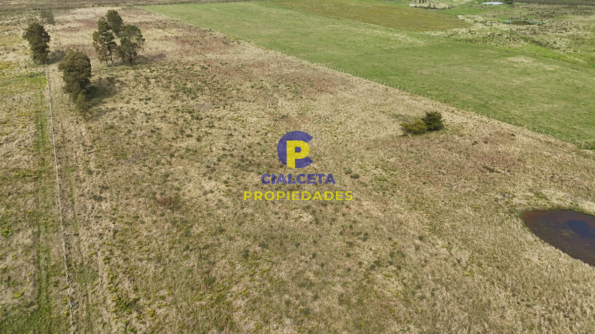 Chacra ID.529 - 3 hectáreas en Noya, departamento de Canelones
