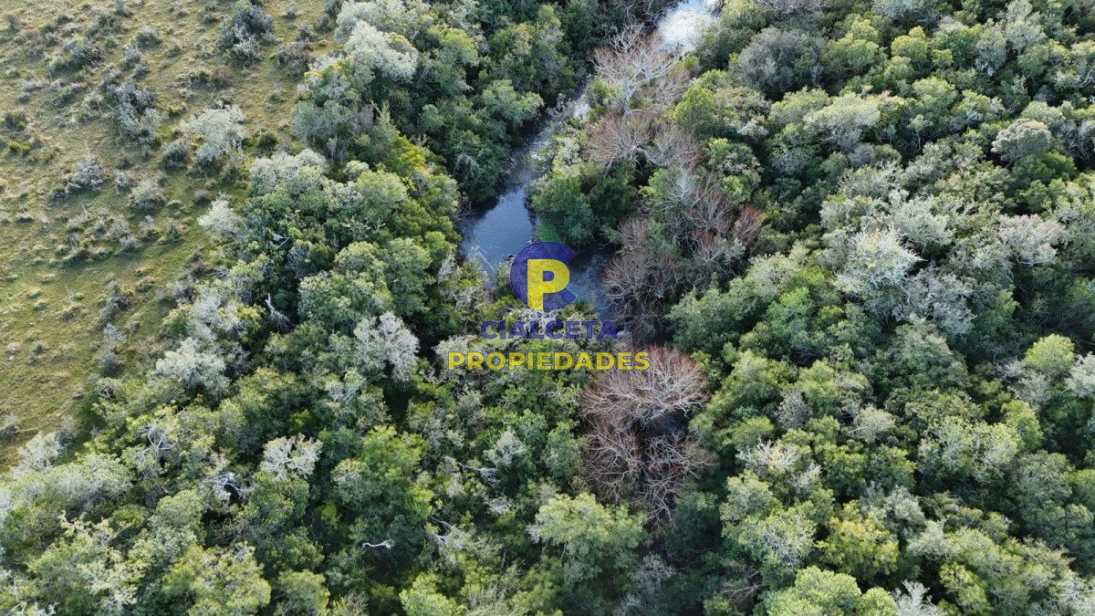 Chacra ID.571 - 3 hectáreas en Pueblo Edén con arroyo y monte nativo