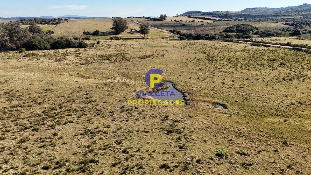 Chacra ID.480 - 4 hectáreas sobre camino a 6 km de Pueblo Edén