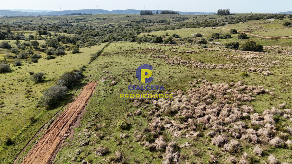 Chacra ID.519 - chacra de 3 hectáreas en maldonado, entrega de 14.600 y cuotas