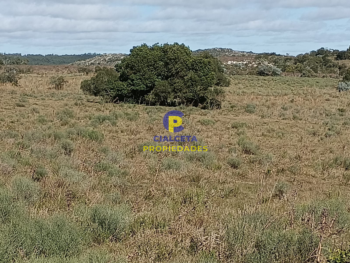 Chacra ID.524 - 8 hectáreas en Maldonado, con monte nativo