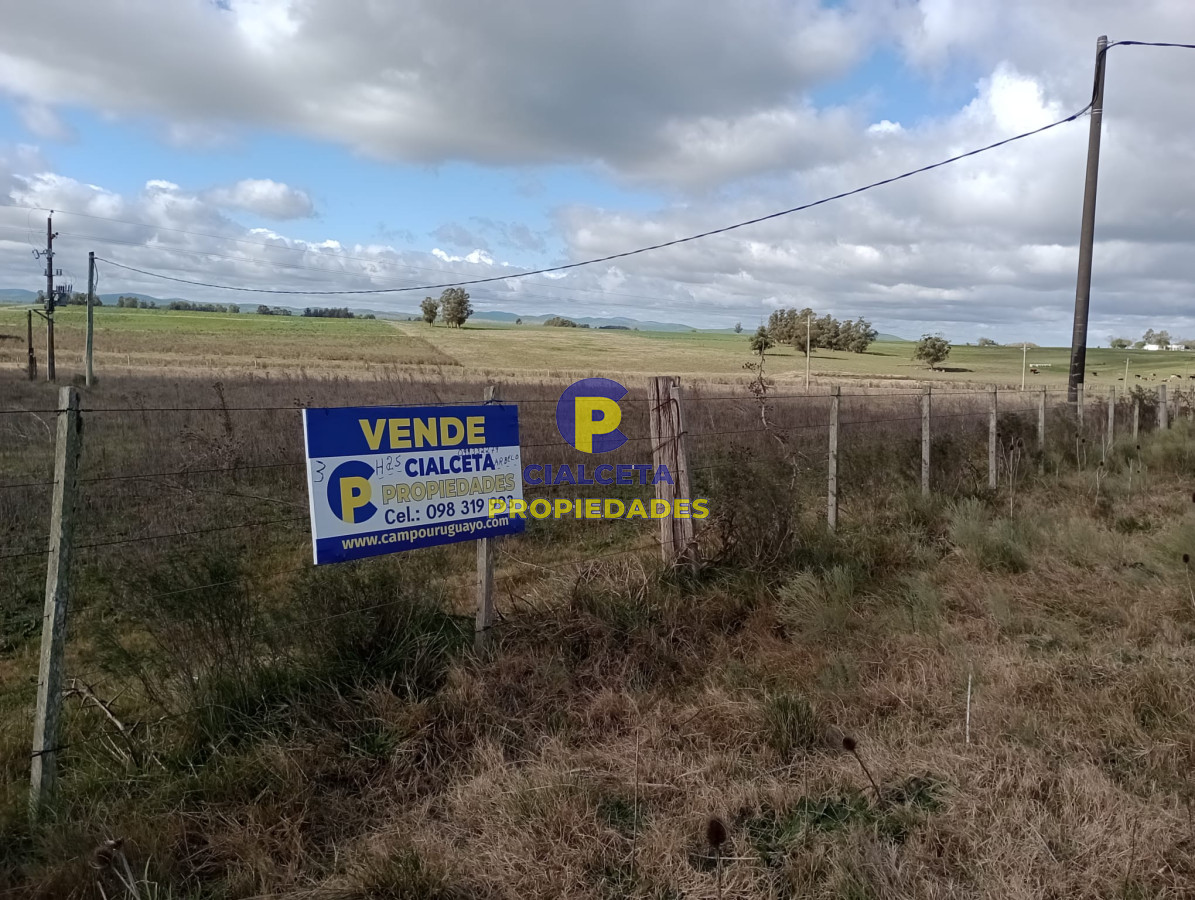 Chacra ID.259 - 3 hectáreas en Canelones