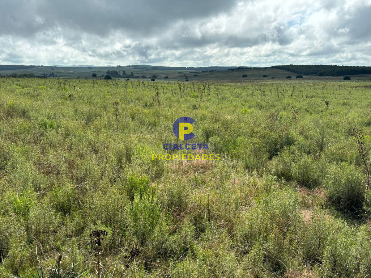 Chacra ID.410 - 10 hectáreas en Pan de Azúcar