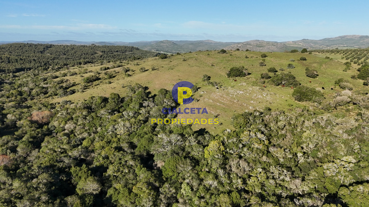 Chacra ID.455 - 5 hectáreas en Zanja del Tigre