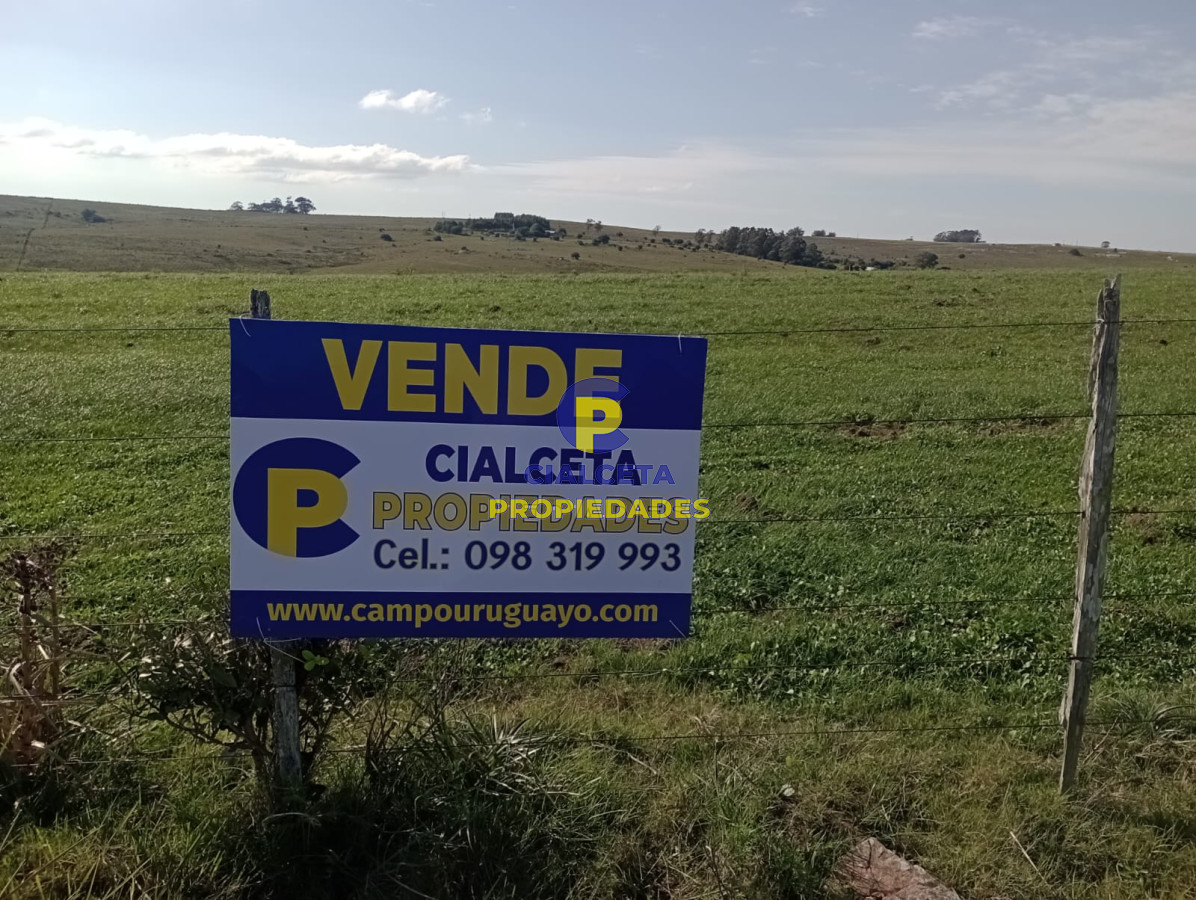 Chacra ID.445 - 14 hectáreas con 7.500 metros en Maldonado